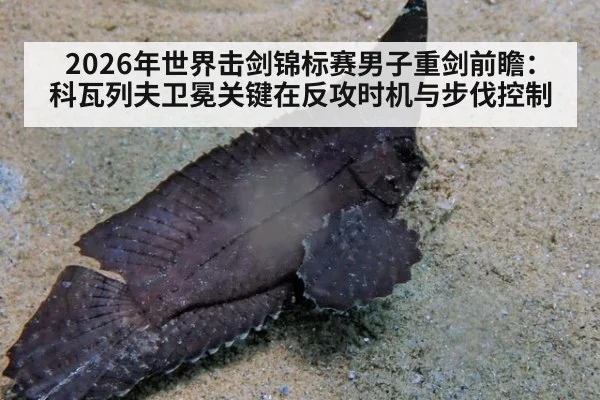2026年世界击剑锦标赛男子重剑前瞻：科瓦列夫卫冕关键在反攻时机与步伐控制